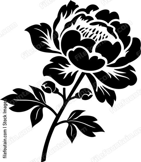 Peony Flower
