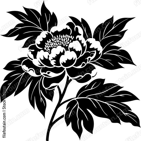 Peony Flower