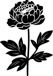 Peony Flower