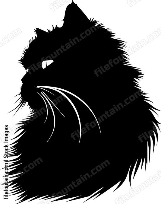 Persian Cat