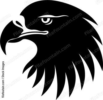 Philippine Eagle