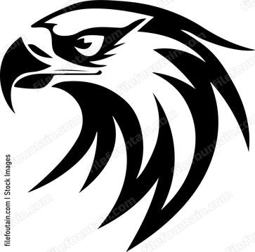 Philippine Eagle