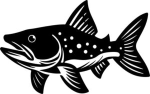 Pike Fish