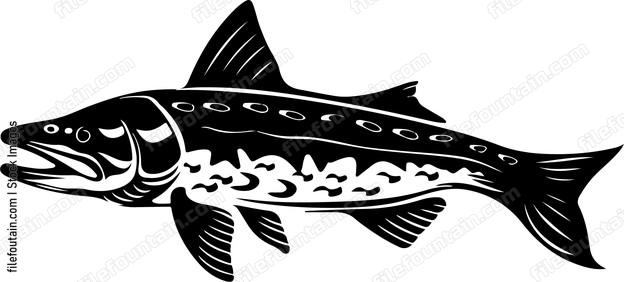 Pike Fish