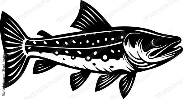 Pike Fish