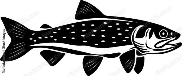 Pike Fish