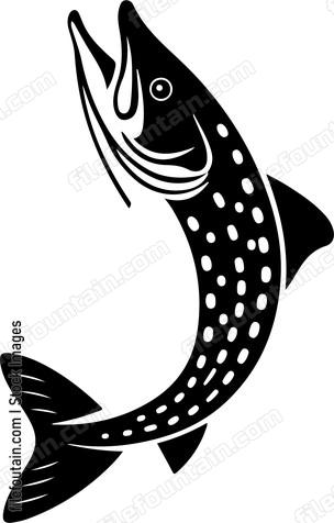 Pike Fishing