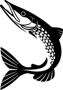 Pike Fishing