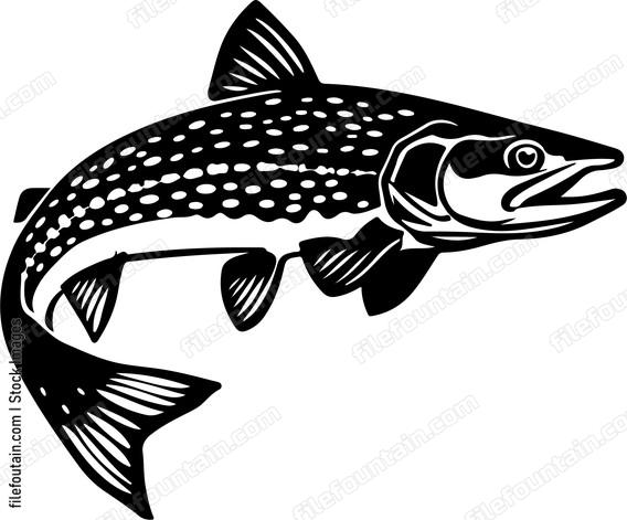 Pike Fishing