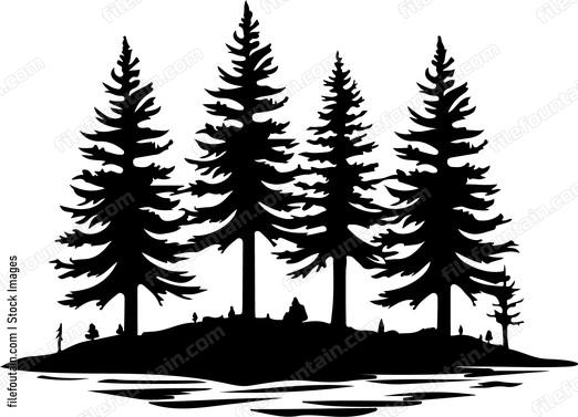 Pine trees on island in lake