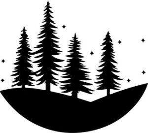 Pines And Stars