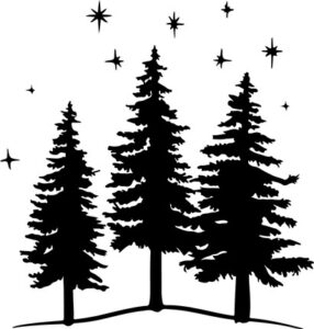 Pines And Stars