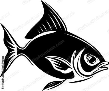 Piranha Fish
