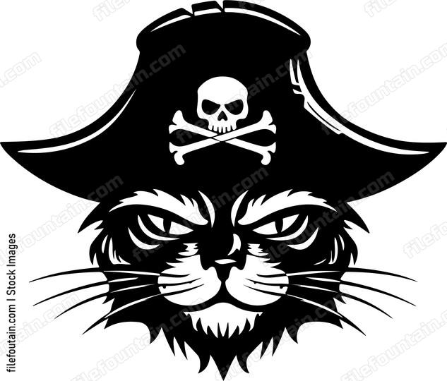 Pirate cat with hat and skull