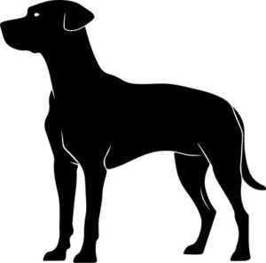 Pointer Dogpng