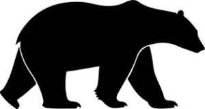Polar Bear Walking