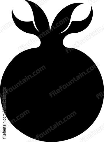 Pomegranate Inside