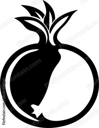 Pomegranate Inside