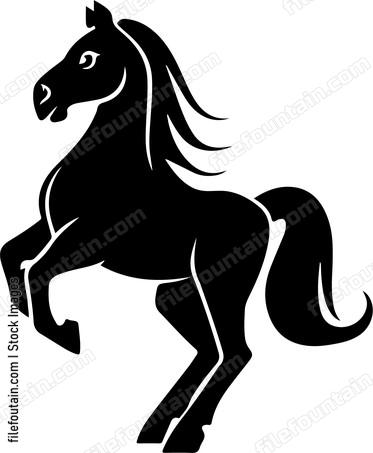 Pony