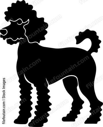 Poodle Dog