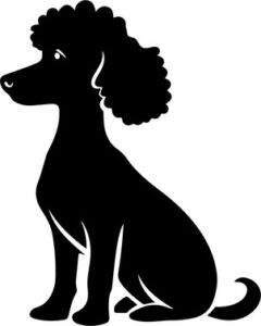 Poodle Dog