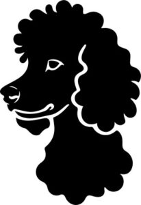 Poodle Dog