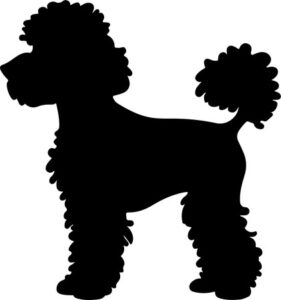Poodle Dog