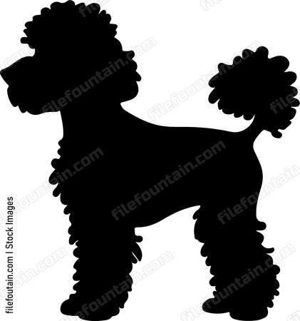 Poodle Dog