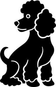 Poodle Dog