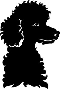 Poodle Dog