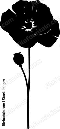 Poppy