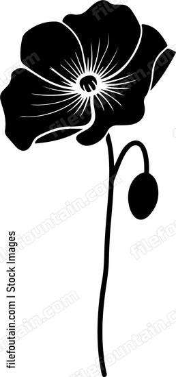 Poppy