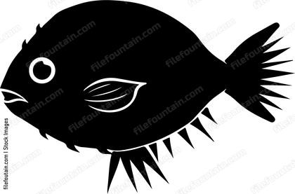Puffer Fish