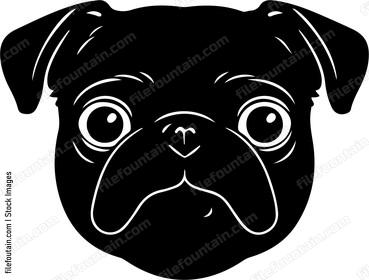 Pug