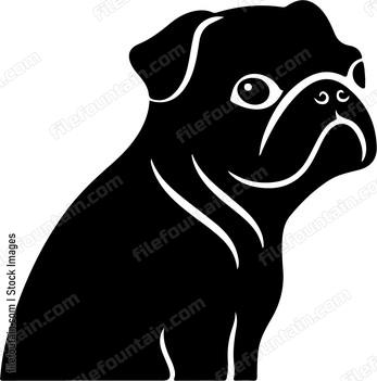 Pug