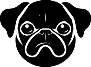 Pug