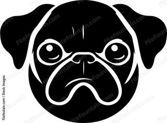 Pug