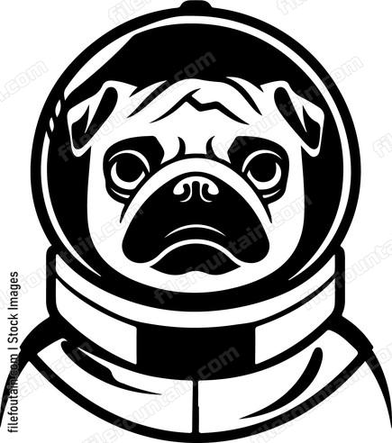 Pug Astronaut