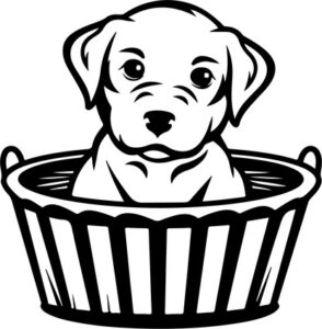 Puppy In Basket