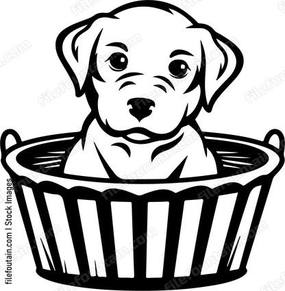 Puppy In Basket