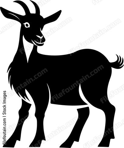 Pygmy Goat