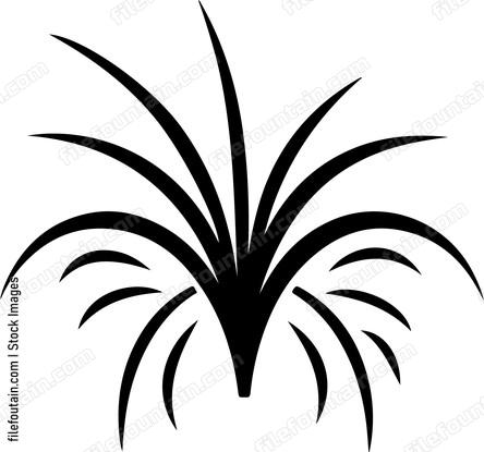 Pyrotechnic