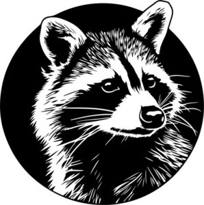 Raccoon