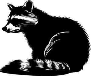 Raccoon