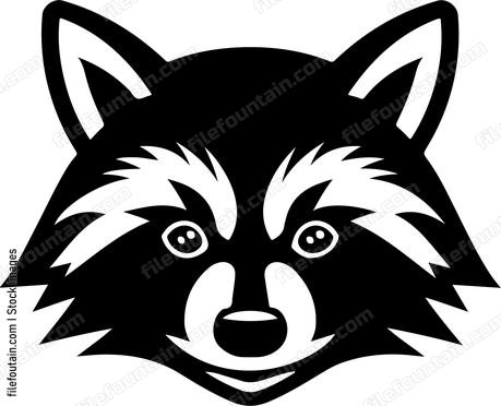 Raccoon Head