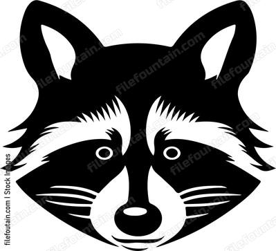 Raccoon Head
