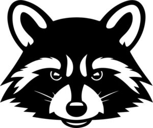 Raccoon Head