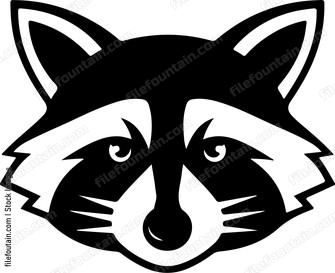 Raccoon Head