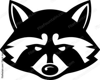Raccoon Head