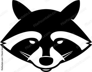 Raccoon Head